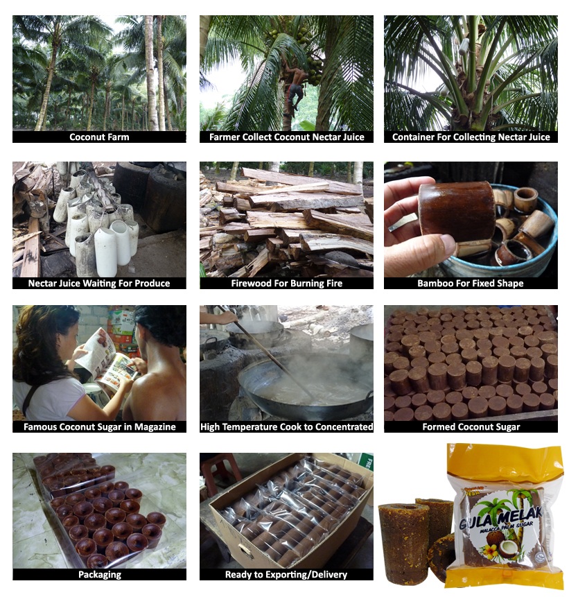 SCS Food Manufacturing Sdn Bhd Malaysia Foods & Beverage Manufacturer